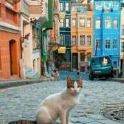 ヒメ日記 2025/06/18 21:32 投稿 【未経験】ゆず ママ友倶楽部