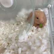 ヒメ日記 2025/06/30 11:23 投稿 【未経験】ゆず ママ友倶楽部