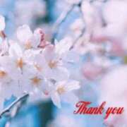 ヒメ日記 2025/04/02 21:30 投稿 三上七緒 五十路マダム富山店(カサブランカグループ)