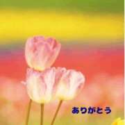 ヒメ日記 2025/04/19 19:48 投稿 三上七緒 五十路マダム富山店(カサブランカグループ)