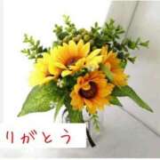 ヒメ日記 2025/07/30 18:28 投稿 三上七緒 五十路マダム富山店(カサブランカグループ)