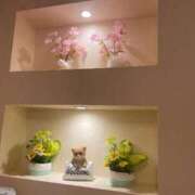 ヒメ日記 2026/04/05 23:16 投稿 三上七緒 五十路マダム富山店(カサブランカグループ)