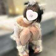 ヒメ日記 2024/12/12 05:50 投稿 りりか先生 クラスメイト