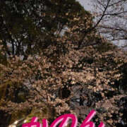 ヒメ日記 2025/04/01 09:25 投稿 かのん バッドカンパニー土浦店