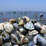 ヒメ日記 2025/05/31 07:46 投稿 れおな 大奥 梅田店