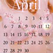 ヒメ日記 2025/04/12 11:42 投稿 花恋 マダム錦糸町