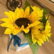 ヒメ日記 2025/07/29 19:03 投稿 夏希 乃亜 昼妻夜 滋賀店