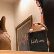 ヒメ日記 2025/12/29 17:09 投稿 夏希 乃亜 昼妻夜 滋賀店