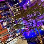 ヒメ日記 2025/01/07 20:52 投稿 きい AVANCE福岡