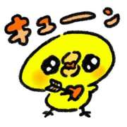 ヒメ日記 2025/04/18 21:03 投稿 きい AVANCE福岡