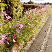 ヒメ日記 2025/10/20 14:15 投稿 きい AVANCE福岡