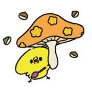 ヒメ日記 2025/10/31 00:30 投稿 きい AVANCE福岡