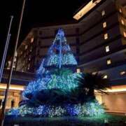 ヒメ日記 2025/11/29 19:45 投稿 きい AVANCE福岡