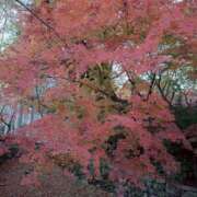 ヒメ日記 2025/11/30 15:14 投稿 きい AVANCE福岡