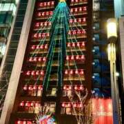 ヒメ日記 2025/12/02 22:09 投稿 きい AVANCE福岡