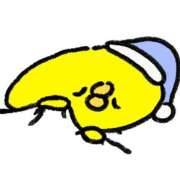 ヒメ日記 2025/12/28 23:30 投稿 きい AVANCE福岡