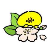 ヒメ日記 2026/03/29 19:49 投稿 きい AVANCE福岡