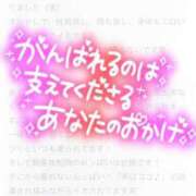 ヒメ日記 2024/01/11 01:58 投稿 つばさ 豊満倶楽部