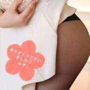 ヒメ日記 2025/04/29 11:18 投稿 ミキ OPELA（オペラ）