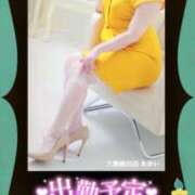 ヒメ日記 2024/12/22 12:02 投稿 あおい 大奥 梅田店