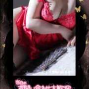 ヒメ日記 2025/01/30 12:15 投稿 あおい 大奥 梅田店