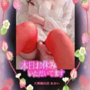 ヒメ日記 2025/03/13 10:00 投稿 あおい 大奥 梅田店