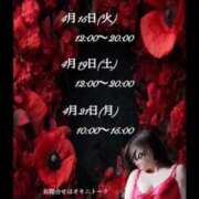 ヒメ日記 2025/04/14 12:11 投稿 あおい 大奥 梅田店