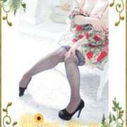 ヒメ日記 2025/12/31 08:45 投稿 あおい 大奥 梅田店