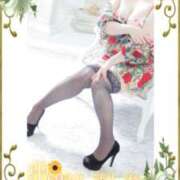 ヒメ日記 2025/12/31 09:01 投稿 あおい 大奥 梅田店