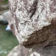 ヒメ日記 2026/01/20 08:42 投稿 ねね CLASSY.東京・錦糸町店