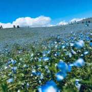 ヒメ日記 2026/03/31 18:22 投稿 ねね CLASSY.東京・錦糸町店