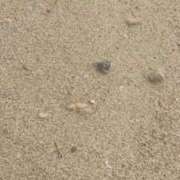 ヒメ日記 2026/04/16 15:42 投稿 ねね CLASSY.東京・錦糸町店