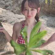 ヒメ日記 2026/04/16 18:00 投稿 ねね CLASSY.東京・錦糸町店