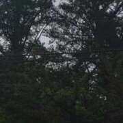 ヒメ日記 2026/07/12 20:42 投稿 ねね CLASSY.東京・錦糸町店