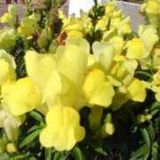 ヒメ日記 2024/12/14 06:48 投稿 りつ 大人の遊園痴「スピーディー」