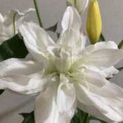 ヒメ日記 2024/12/16 22:28 投稿 りつ 大人の遊園痴「スピーディー」