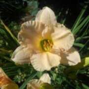 ヒメ日記 2024/12/28 14:08 投稿 りつ 大人の遊園痴「スピーディー」