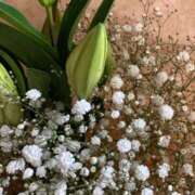 ヒメ日記 2024/12/29 18:18 投稿 りつ 大人の遊園痴「スピーディー」