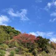 ヒメ日記 2024/12/31 20:58 投稿 りつ 大人の遊園痴「スピーディー」