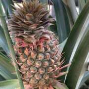 ヒメ日記 2025/01/10 22:08 投稿 りつ 大人の遊園痴「スピーディー」