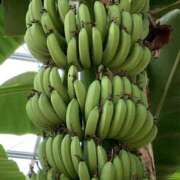 ヒメ日記 2025/01/10 22:18 投稿 りつ 大人の遊園痴「スピーディー」