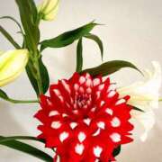 ヒメ日記 2025/01/24 22:33 投稿 りつ 大人の遊園痴「スピーディー」