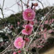 ヒメ日記 2025/02/16 23:20 投稿 りつ 大人の遊園痴「スピーディー」