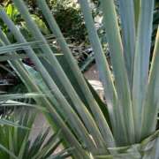 ヒメ日記 2025/02/19 23:48 投稿 りつ 大人の遊園痴「スピーディー」