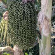 ヒメ日記 2025/02/24 22:38 投稿 りつ 大人の遊園痴「スピーディー」