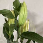 ヒメ日記 2025/02/26 01:08 投稿 りつ 大人の遊園痴「スピーディー」