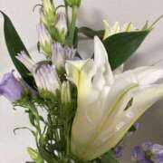 ヒメ日記 2025/04/06 07:58 投稿 りつ 大人の遊園痴「スピーディー」