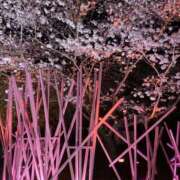 ヒメ日記 2025/04/06 08:08 投稿 りつ 大人の遊園痴「スピーディー」