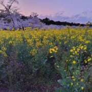 ヒメ日記 2025/04/07 08:48 投稿 りつ 大人の遊園痴「スピーディー」