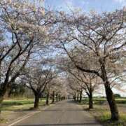 ヒメ日記 2025/04/08 09:42 投稿 りつ 大人の遊園痴「スピーディー」